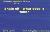 Shale oil – what does it take?