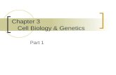 Chapter 3 Cell Biology & Genetics
