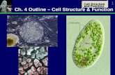 Ch. 4 Outline – Cell Structure & Function