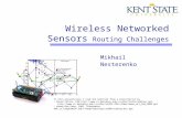 Wireless Networked Sensors Routing Challenges