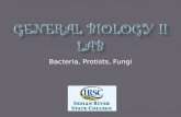General Biology II Lab