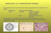 HISTOLOGY 1.9.: SUPPORTIVE TISSUES
