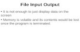 File Input Output