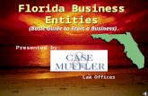Florida Business Entities