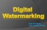 Digital  Watermarking