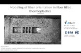 Modeling of fiber orientation in fiber filled thermoplastics  29-03-2010