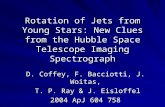 Rotation of Jets from Young Stars: New Clues from the Hubble Space Telescope Imaging Spectrograph