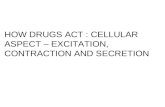 HOW DRUGS ACT : CELLULAR ASPECT – EXCITATION, CONTRACTION AND SECRETION