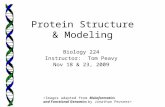 Protein Structure & Modeling