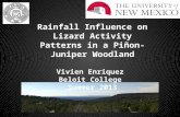 Rainfall Influence on Lizard Activity Patterns in a Piñon-Juniper Woodland Vivien Enriquez