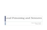Lead Poisoning and Seizures