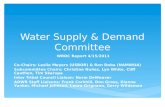 Water Supply & Demand Committee