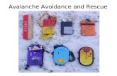 Avalanche Avoidance and Rescue