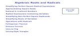 Algebraic Roots and Radicals