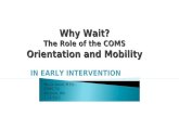 Why Wait? The Role  of the COMS Orientation and Mobility