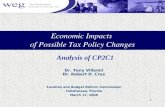 Economic Impacts  of Possible Tax Policy Changes