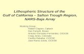 Lithospheric Structure of the  Gulf of California – Salton Trough Region,  NARS-Baja Array