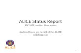 ALICE  S tatus Report 106 th  LHCC meeting - Open session