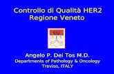 Controllo di Qualità HER2 Regione Veneto