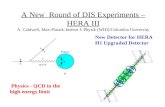 Physics - QCD in the high energy limit
