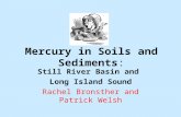 Mercury in Soils and Sediments :