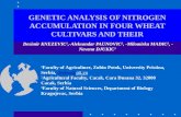 GENETIC ANALYSIS OF NITROGEN ACCUMULATION IN FOUR WHEAT CULTIVARS AND THEIR