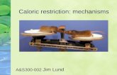 Caloric restriction: mechanisms