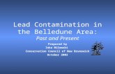 Lead Contamination in the Belledune Area: Past and Present