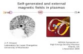 Self-generated and external magnetic fields in plasmas