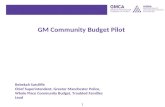 GM Community Budget Pilot