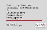 Combining Teacher  Training and Mentoring  for  Collaborative  Professional  Development