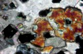 1- Pure Carbonates (Limestone and dolomite)