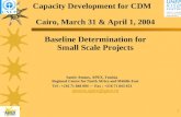 Capacity Development for CDM Cairo, March 31 & April 1, 2004