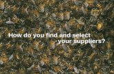 How do you find and select                              your suppliers?