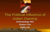 The Political Influence of Indian Gaming