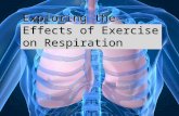 Exploring the Effects of Exercise on Respiration