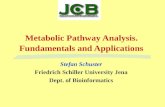 Metabolic Pathway Analysis.  Fundamentals and Applications