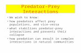 Predator-Prey Interactions