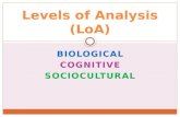 Levels of Analysis ( LoA )