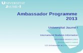 Ambassador Programme 2013