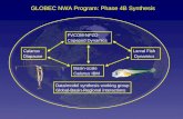 GLOBEC NWA Program: Phase 4B Synthesis