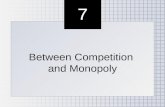 Between Competition  and Monopoly