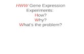 HWW  Gene Expression Experiments:  H ow? W hy? W hat’s the problem?