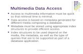 Multimedia Data Access