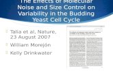 The Effects of Molecular Noise and Size Control on Variability in the Budding Yeast Cell Cycle