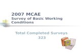 2007 MCAE  Survey of Basic Working Conditions
