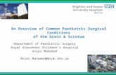 An Overview of Common Paediatric Surgical Conditions of the Groin & Scrotum