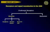 Receptors and signal transduction in the ANS