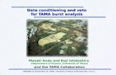Data conditioning and veto  for TAMA burst analysis