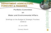 DEPARTMENT: AGRICULTURE, FORESTRY & FISHERIES
